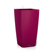 CUBICO Color 30 - Vermelho - LECHUZA